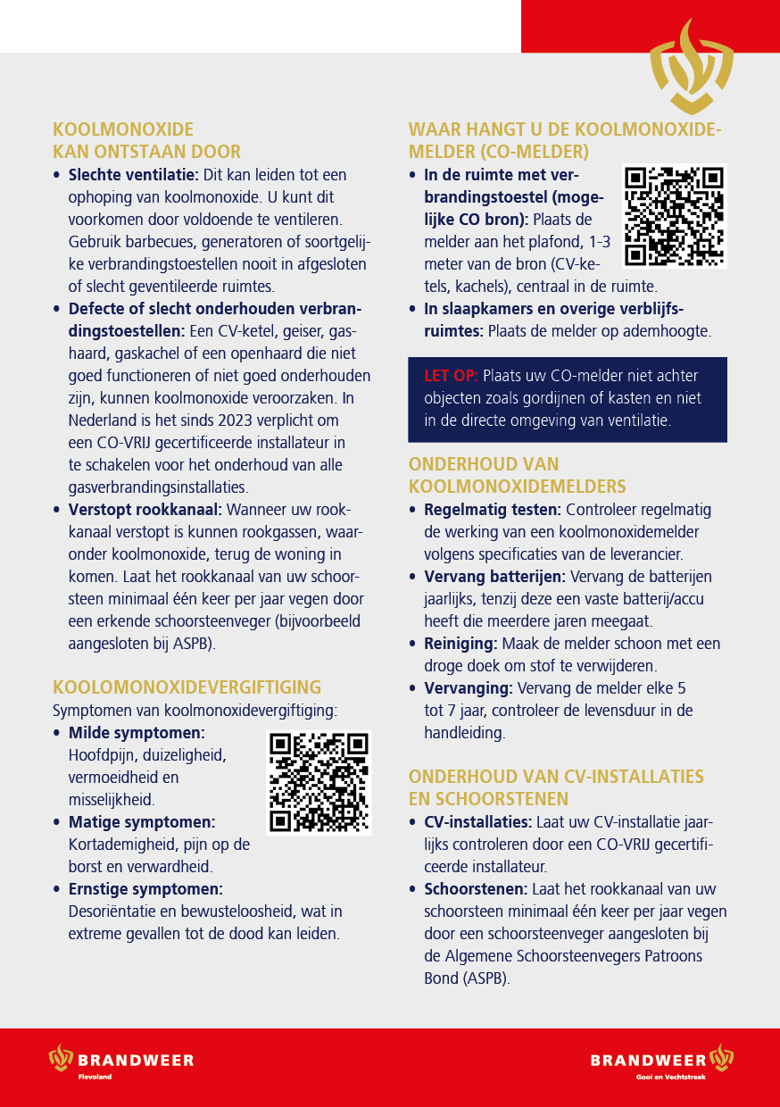 Achterzijde koolmonoxideflyer